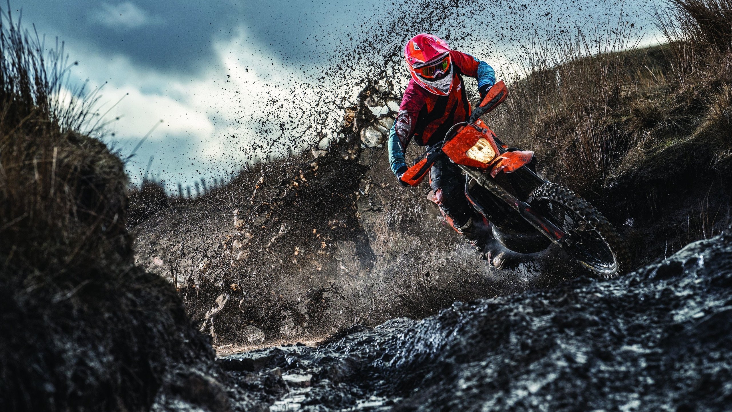 乐鱼体育app入口-判罚像天平倾斜，格里马尔多：但我们的努力配得上胜利